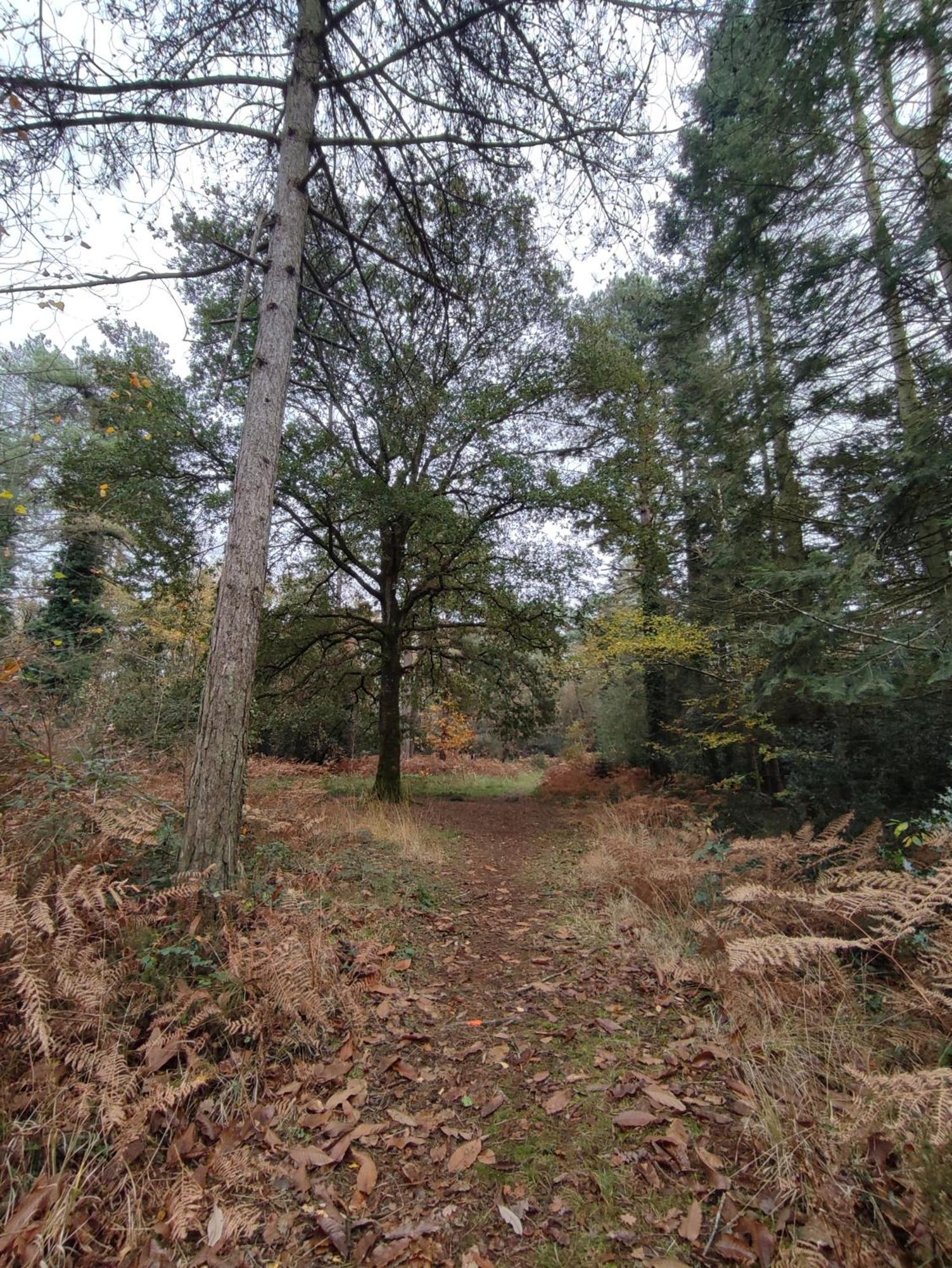 Gite Des Mezieres Brusvily Luaran gambar